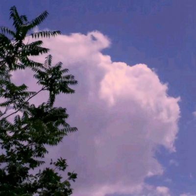 九游骑士的魔法战争手游官方版下载